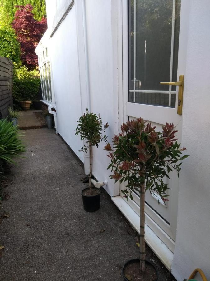 Cosy, Dog Friendly House On The Fringe Of The Brecon Beacons Villa Tredegar Exteriör bild