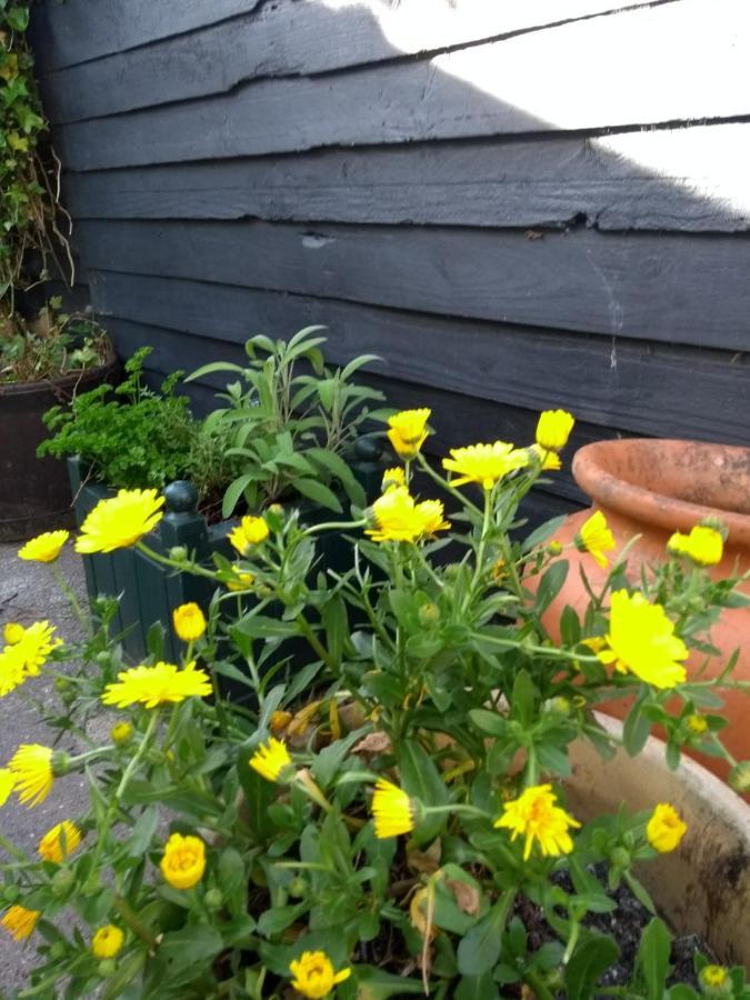 Cosy, Dog Friendly House On The Fringe Of The Brecon Beacons Villa Tredegar Exteriör bild